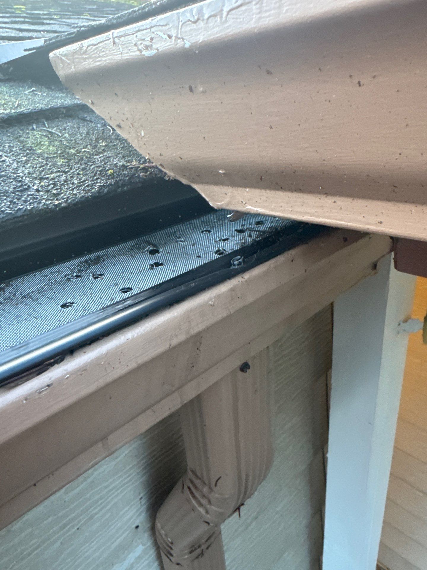 Gutters project in Issaquah, WA